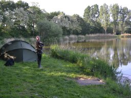 Competities HSV Alfheim